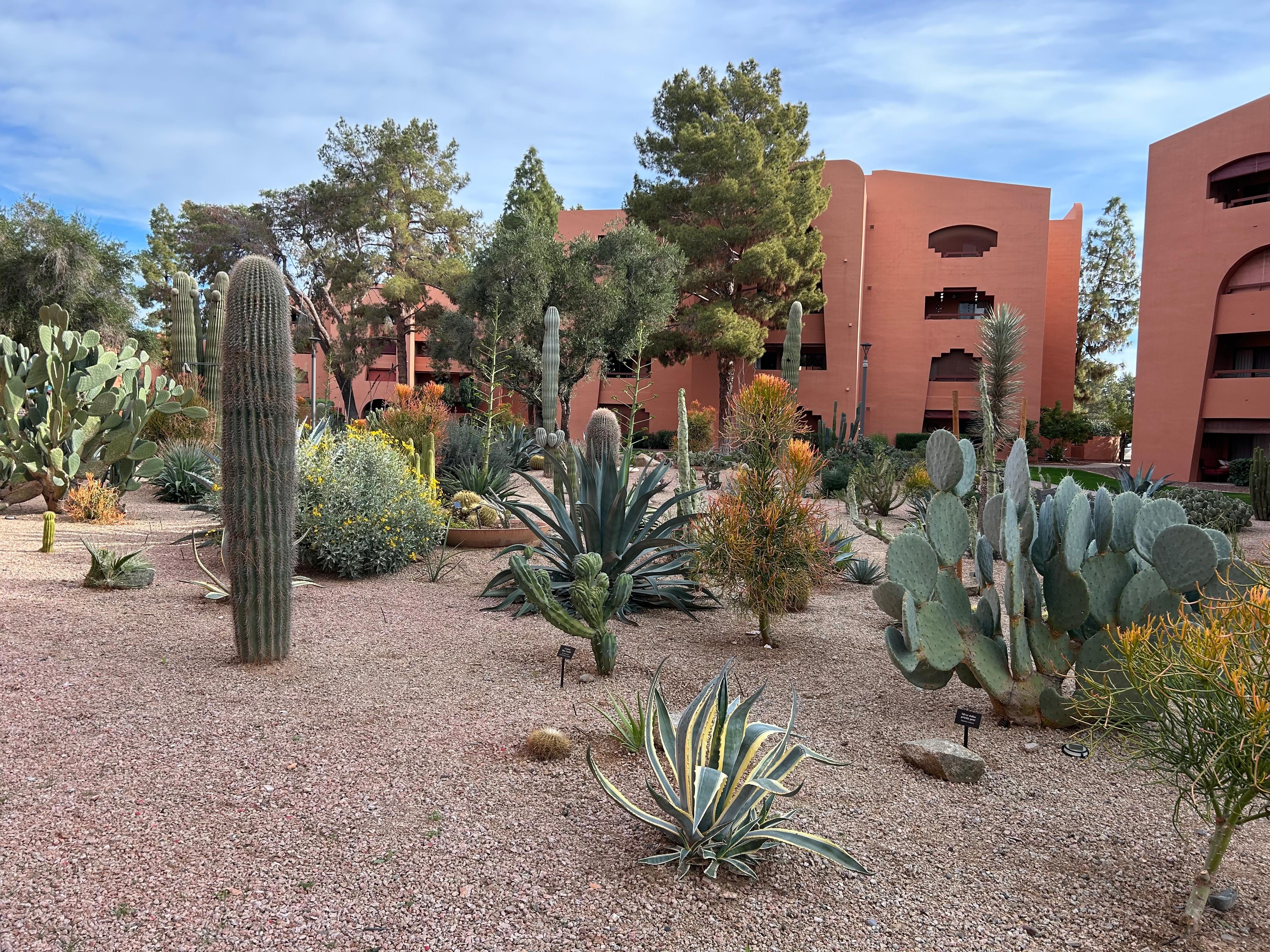 The cactus garden was my favorite 