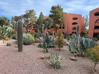 The cactus garden was my favorite