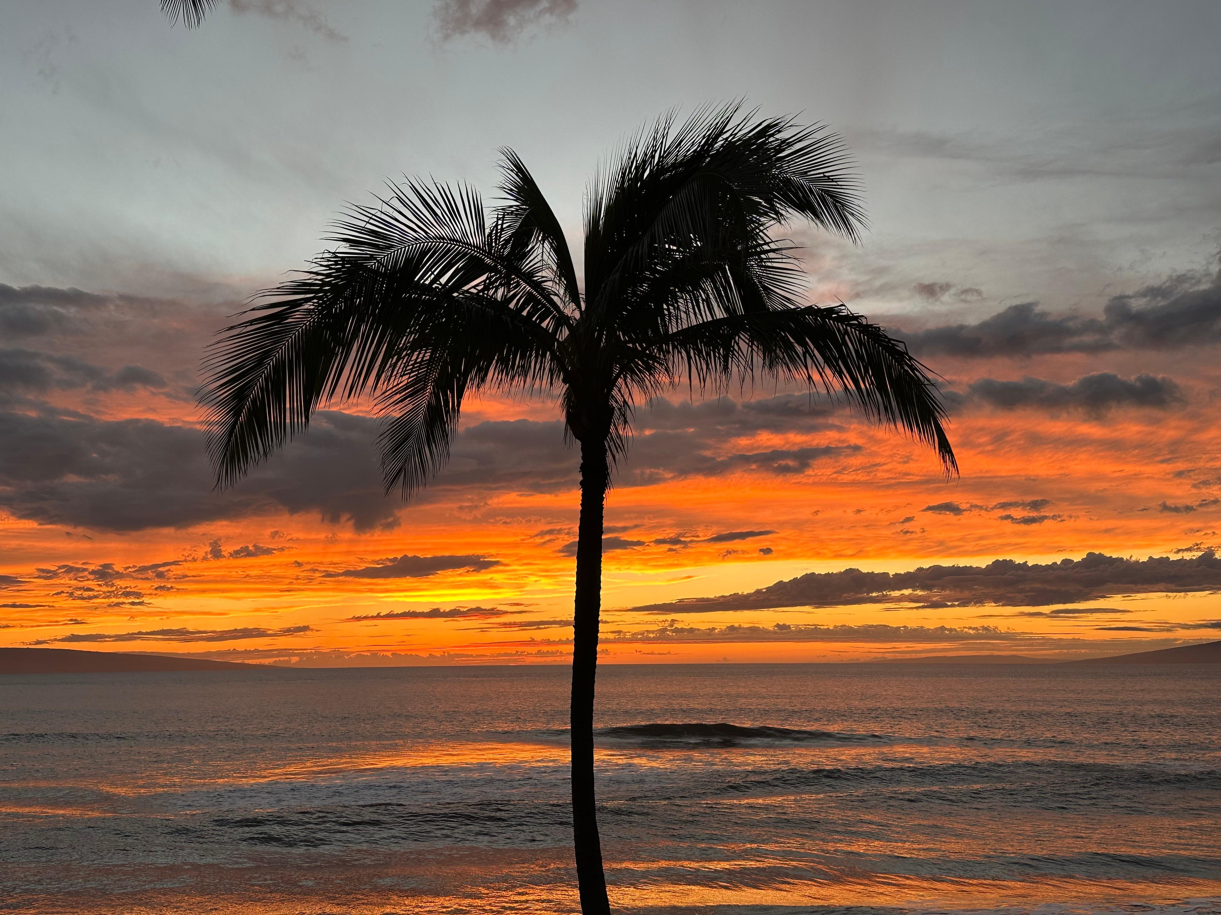 Our only sunset we got to enjoy due to Kona storm 3/2026