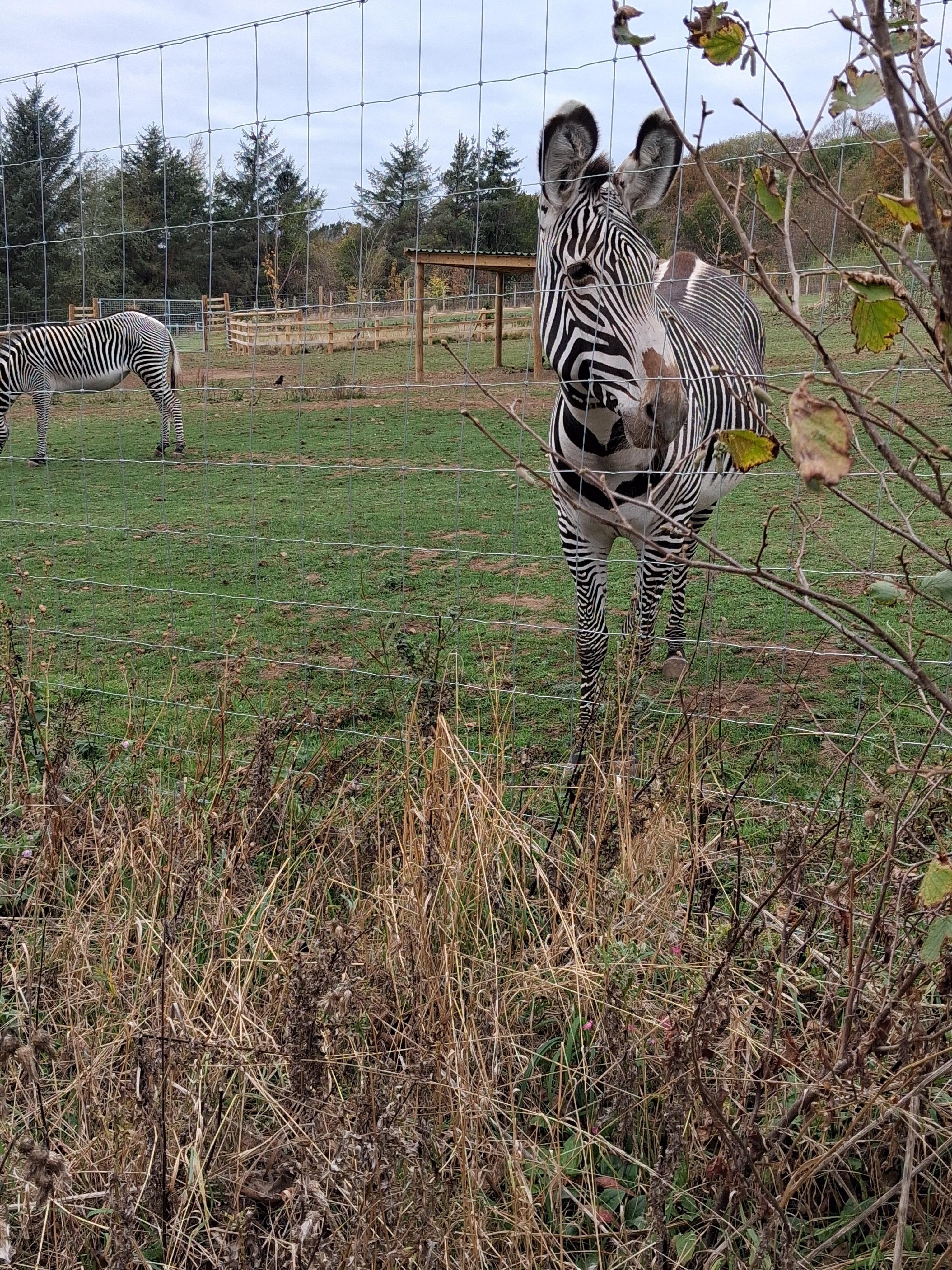 Lovely break at hotel which was so nice and handy for our zoo trip. Hotel was lovely meals delicious and staff so friendly
