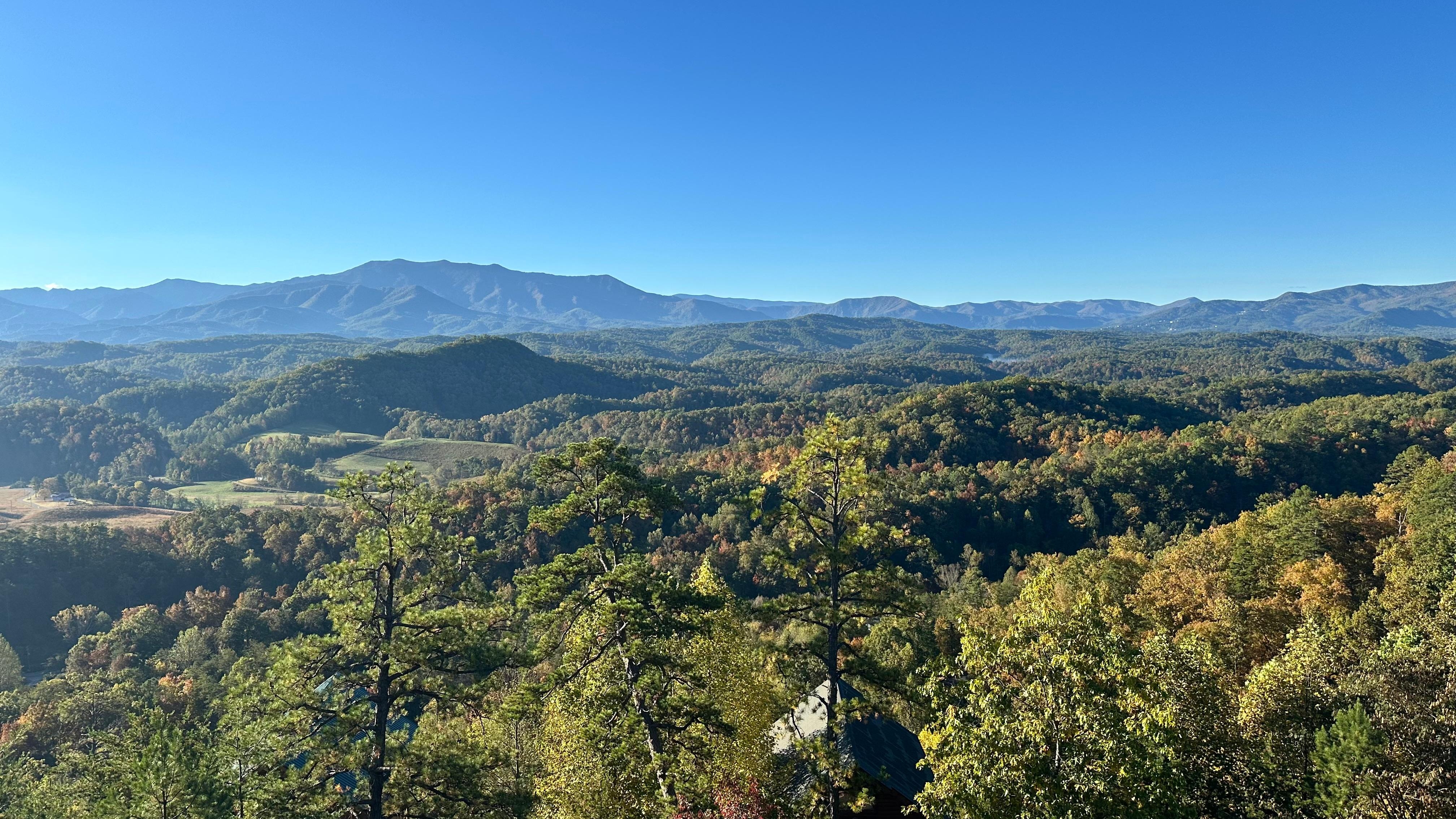 This never gets old. 