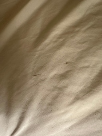 Staind sheets