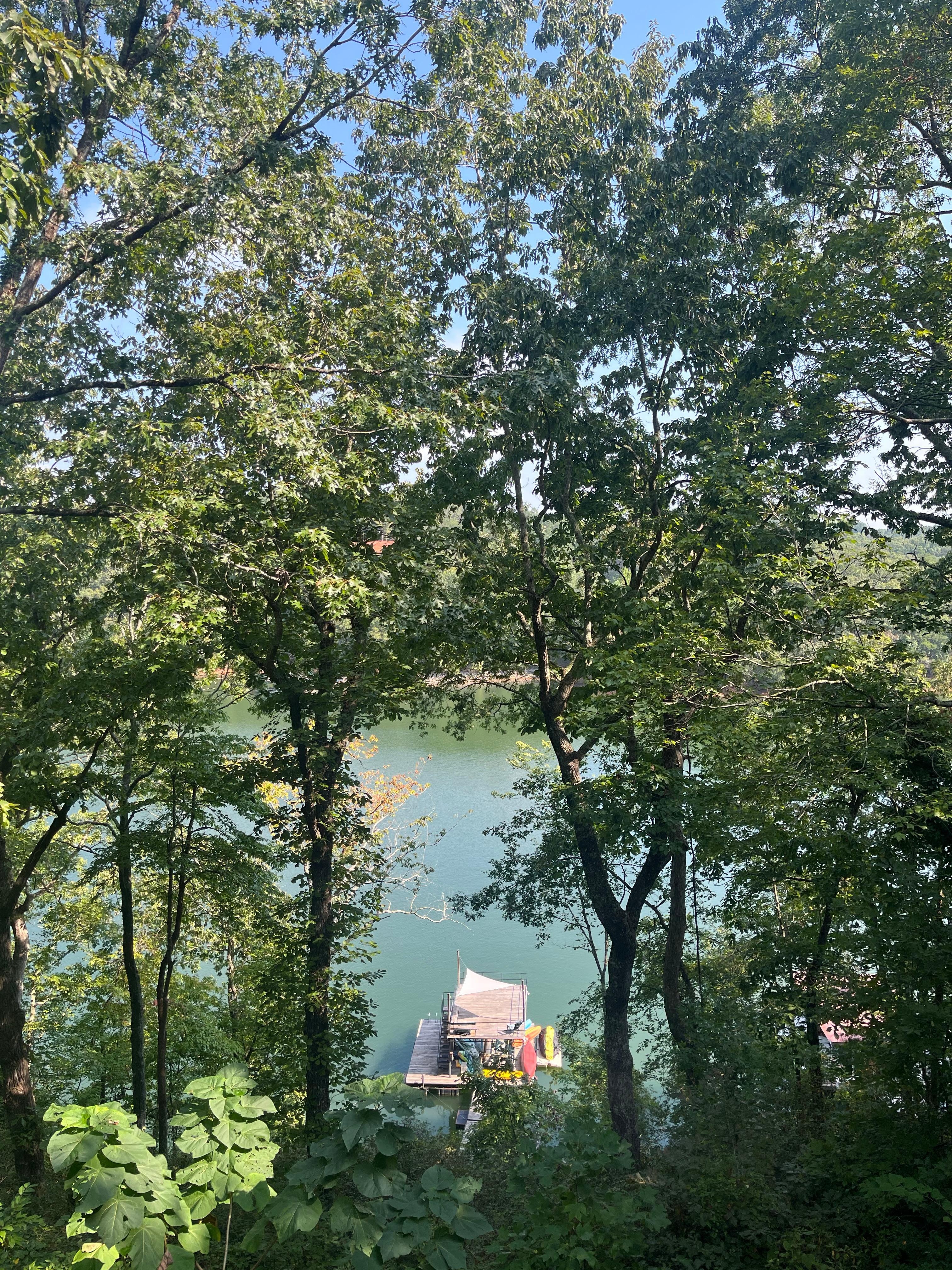 Gorgeous view of Lake Lanier