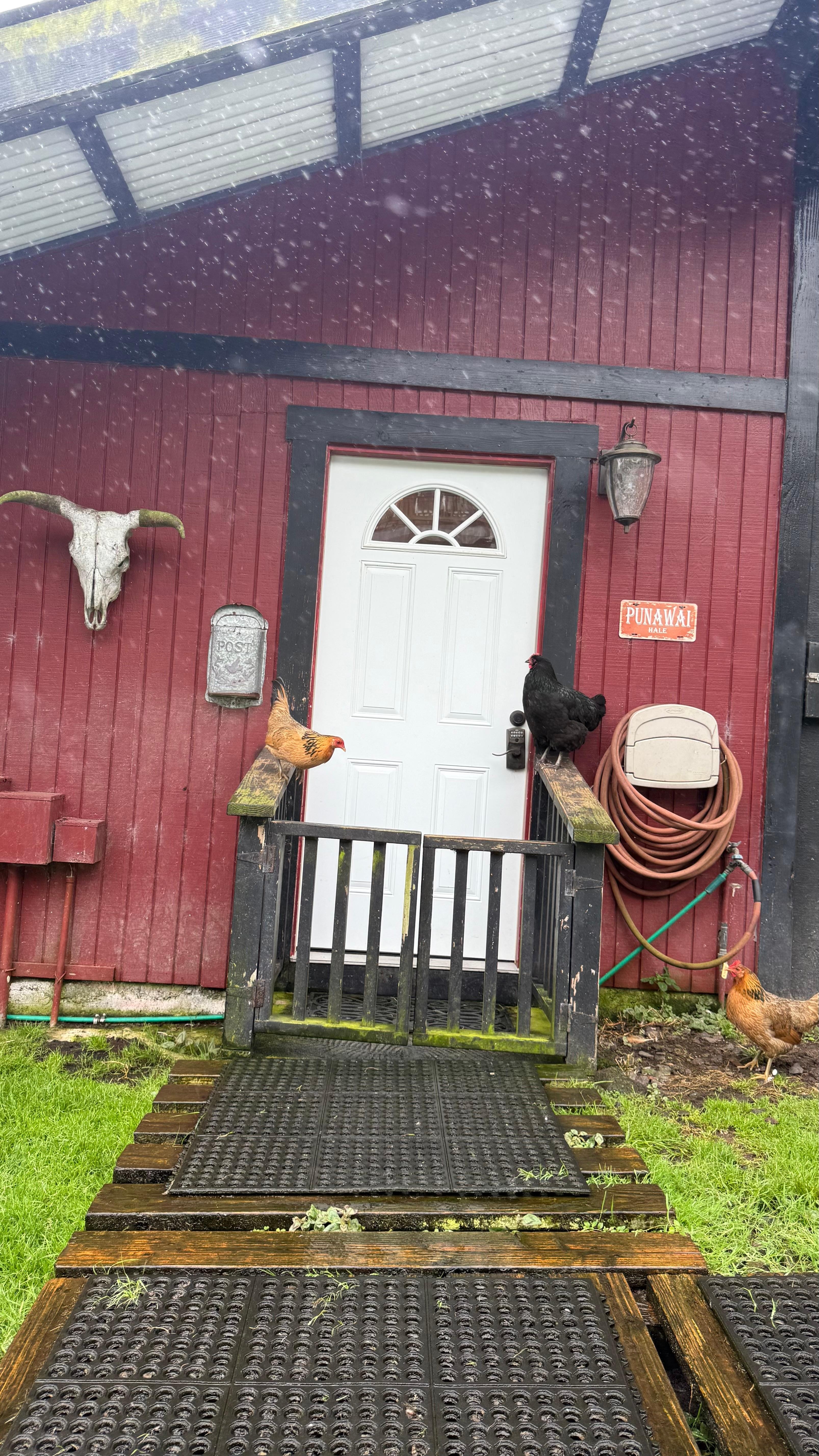 Our greeters upon arrival 