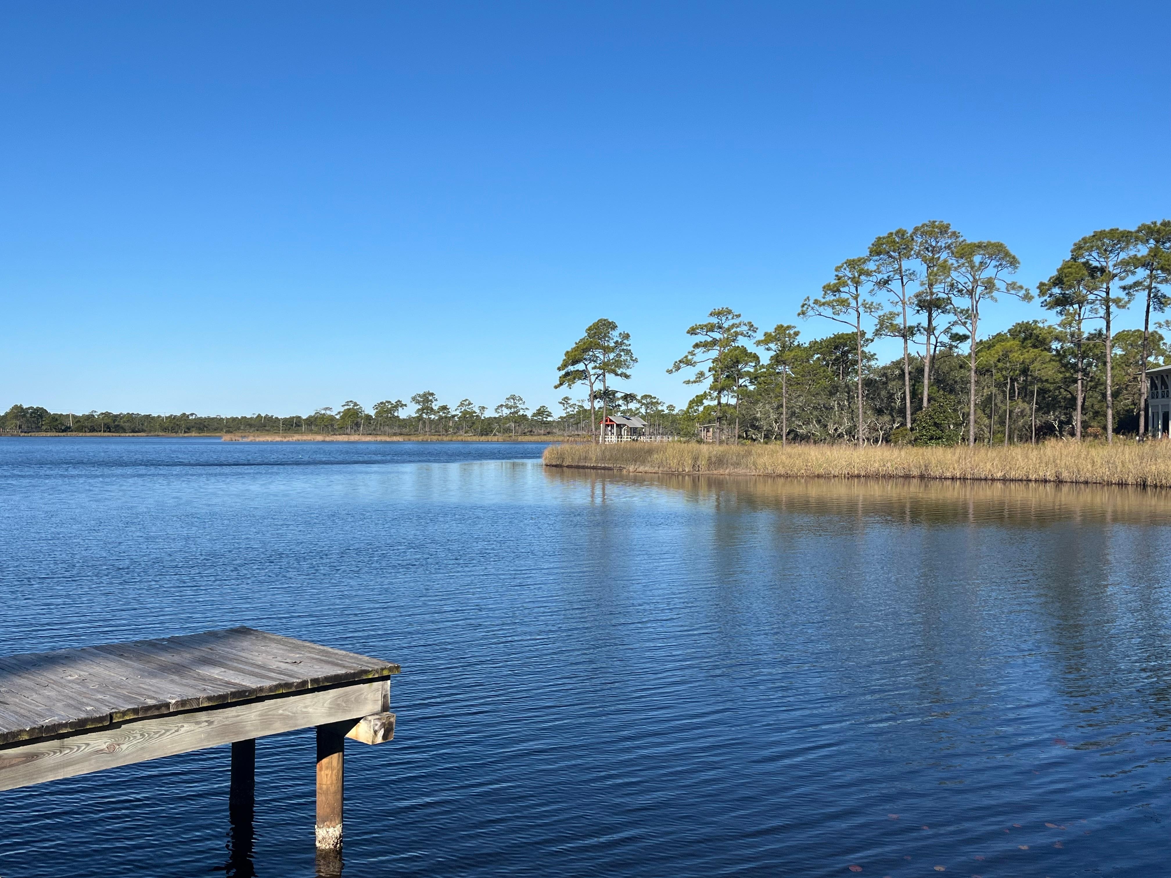 Walking in Watercolor