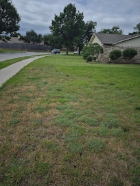 Yard not keeping up with neighbors.