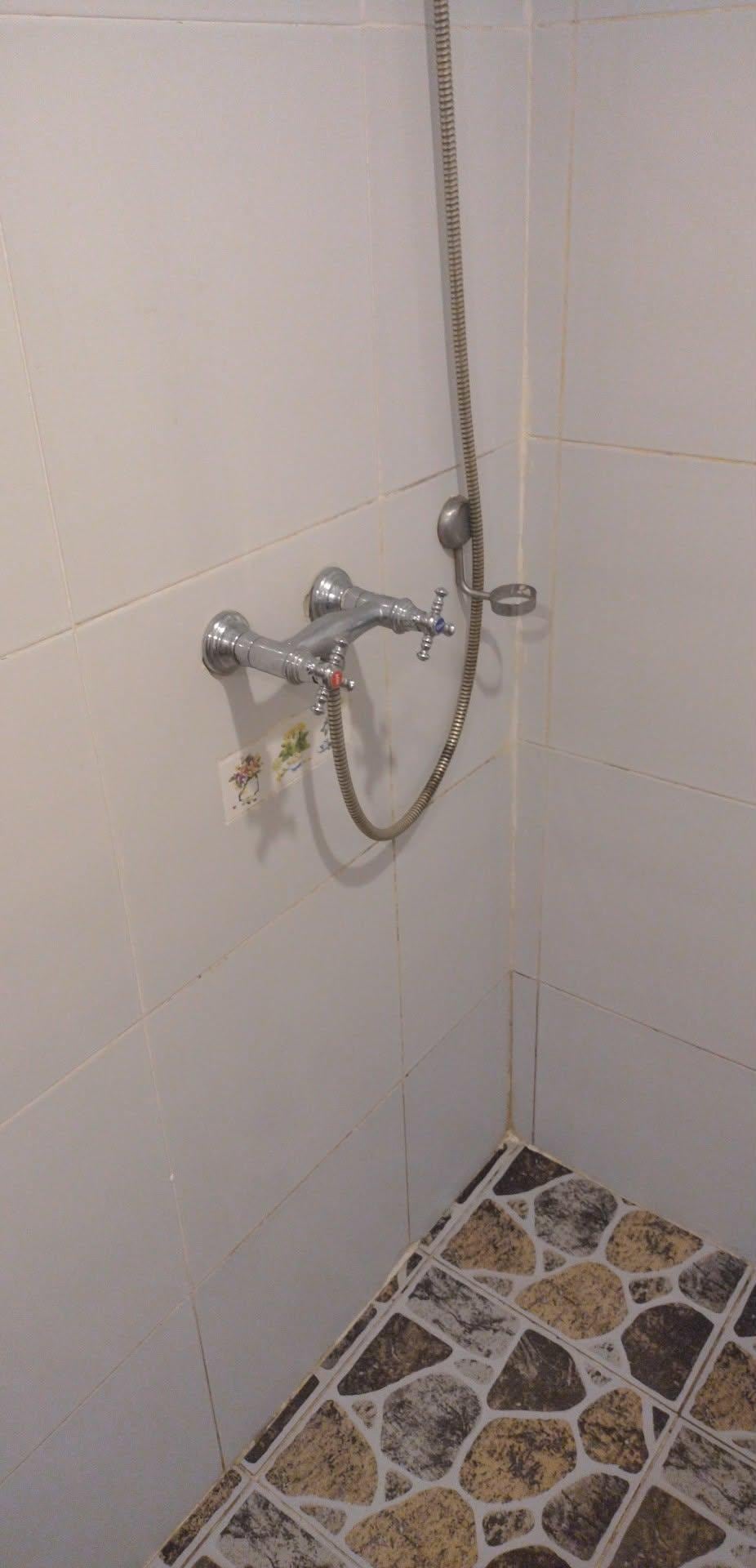 Mould in shower 1