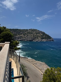 Fun local snorkel location