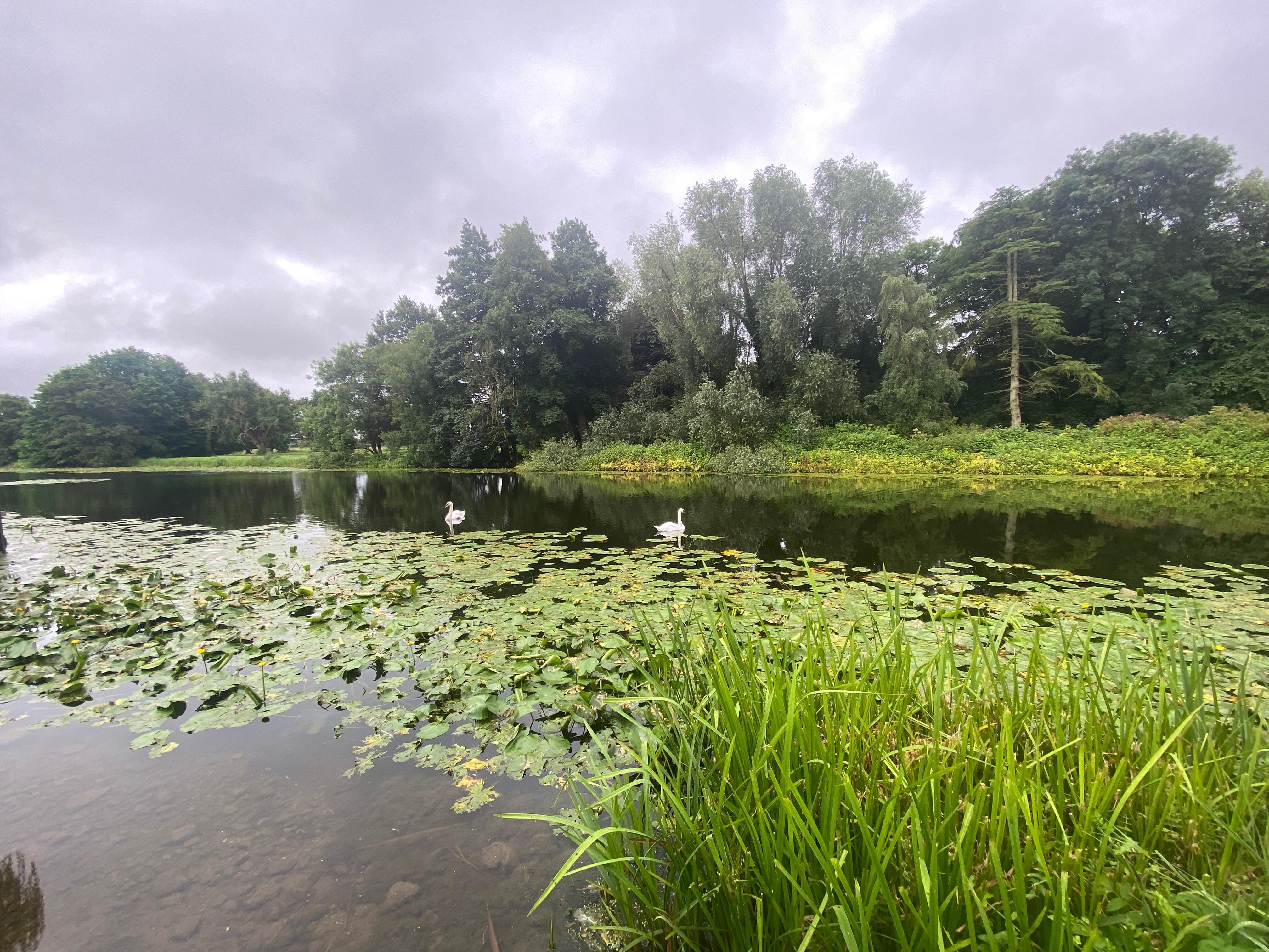 The lake