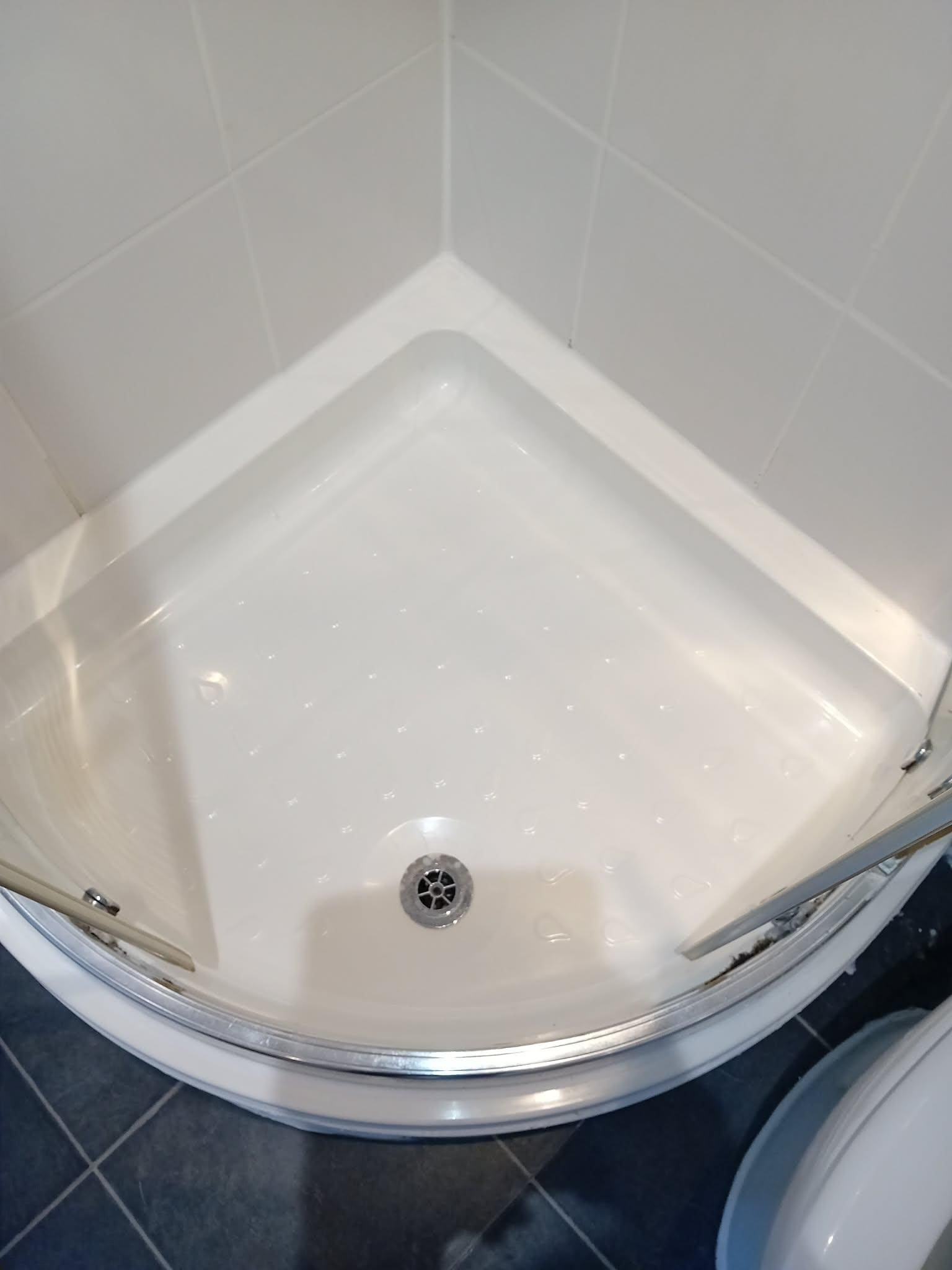 Shower not clean hairs from previous guests