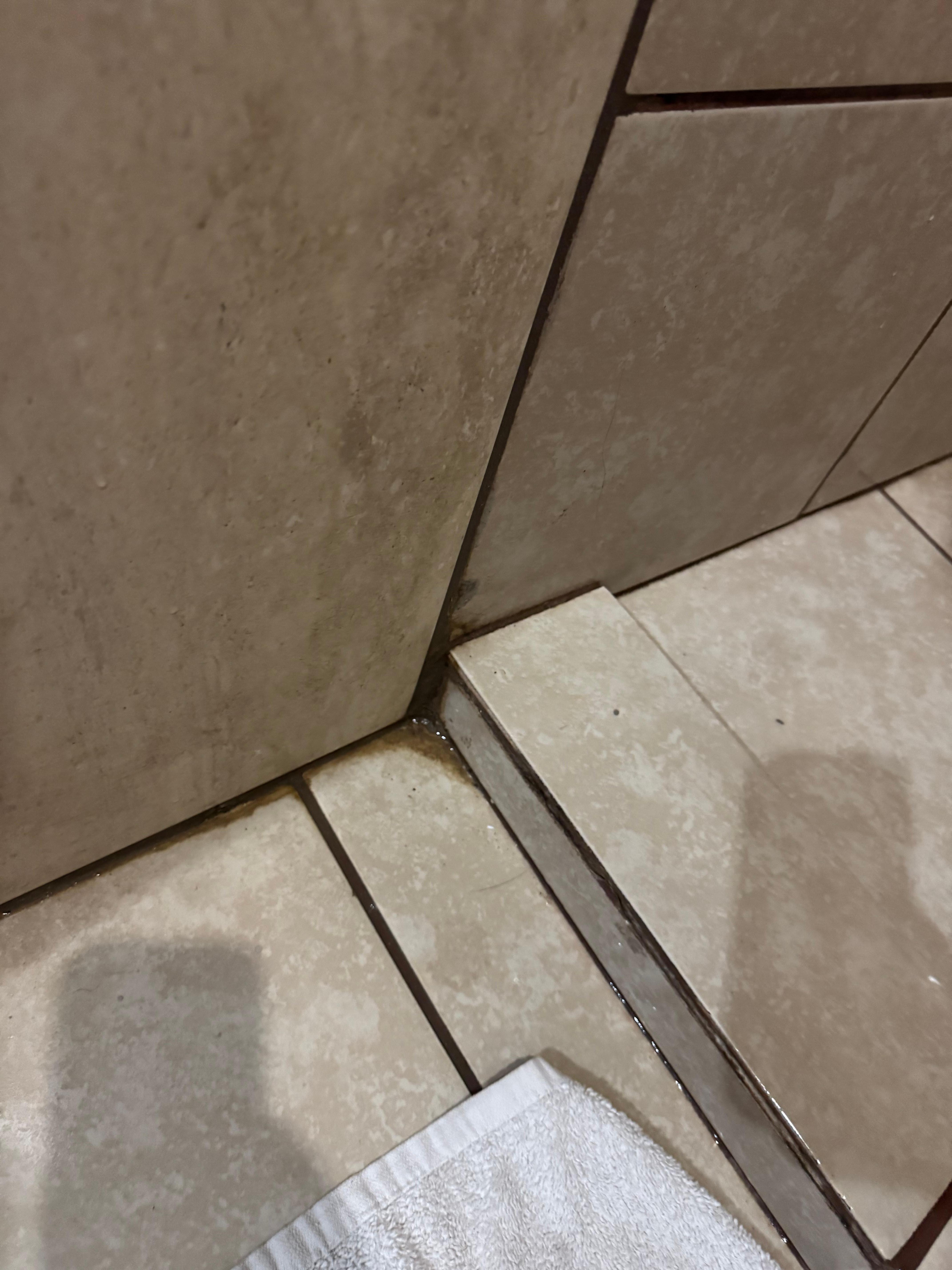 Moldy shower 