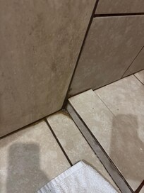 Moldy shower