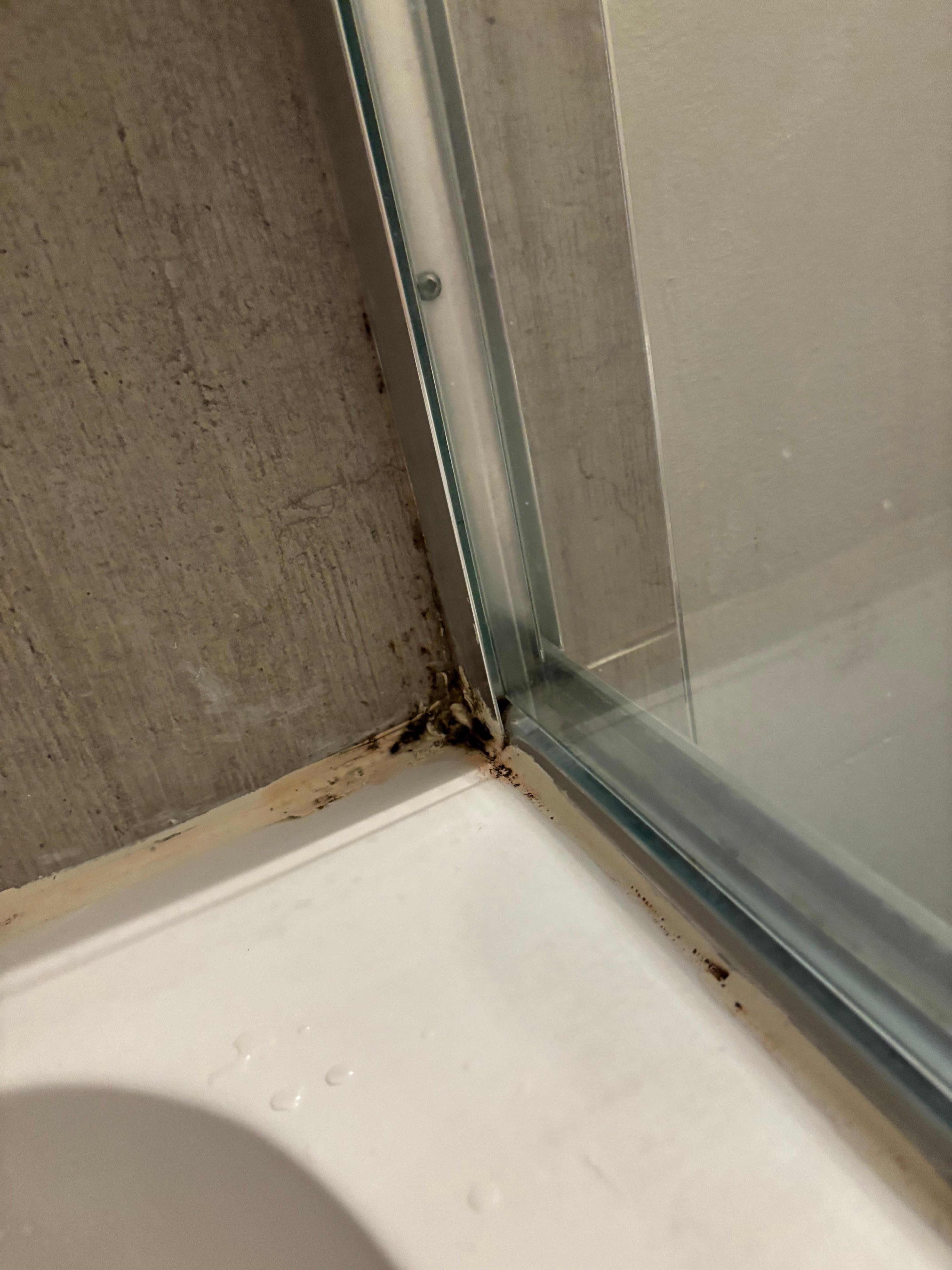 Mold in the shower and at the sinks