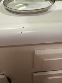 Ant problem.