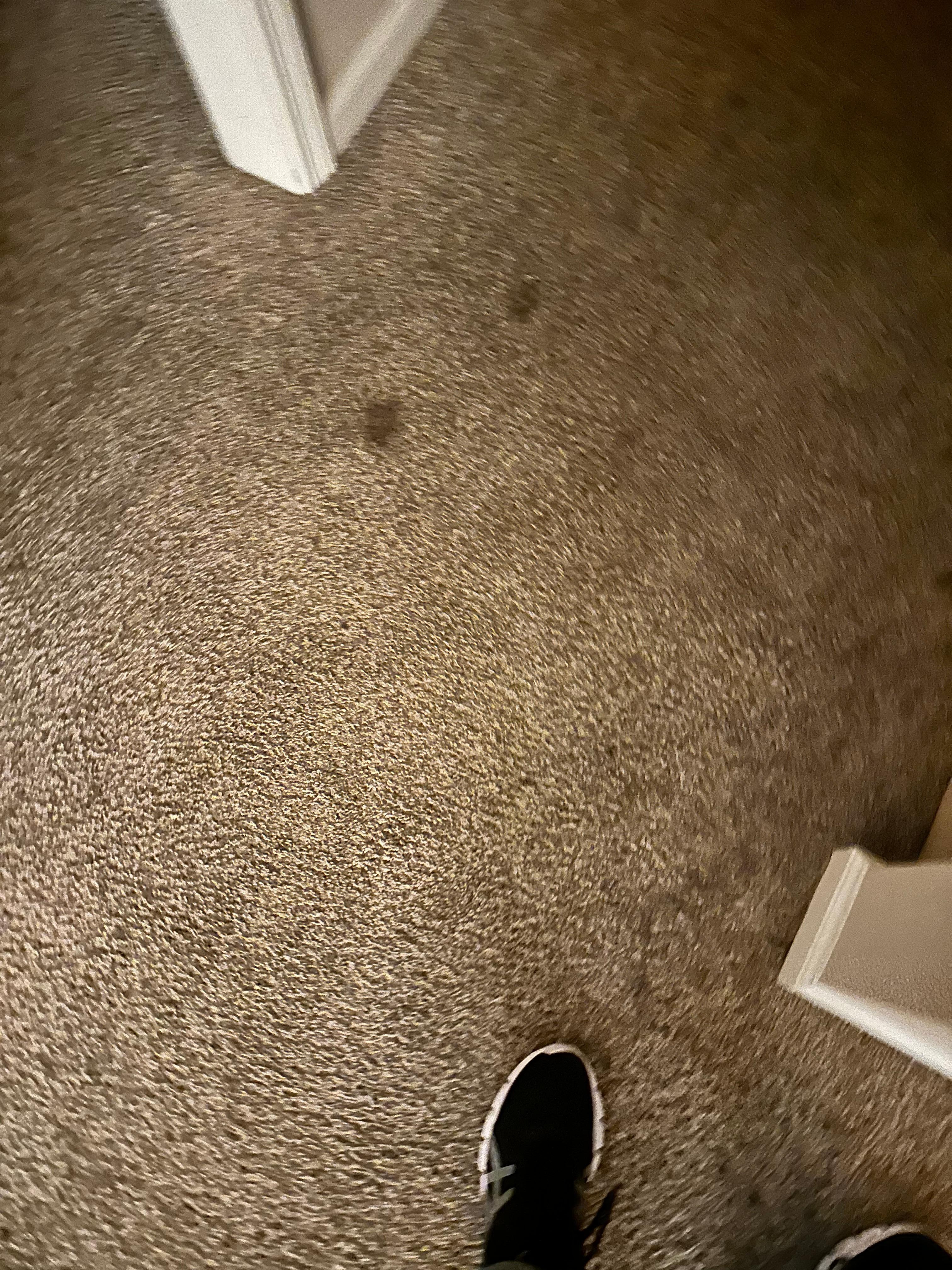 Carpet stains 