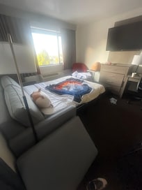 Living area with queen pullout couch