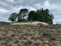 Low tide. Looking at the house.