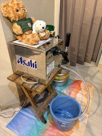 Keg of Sapporo classic in room