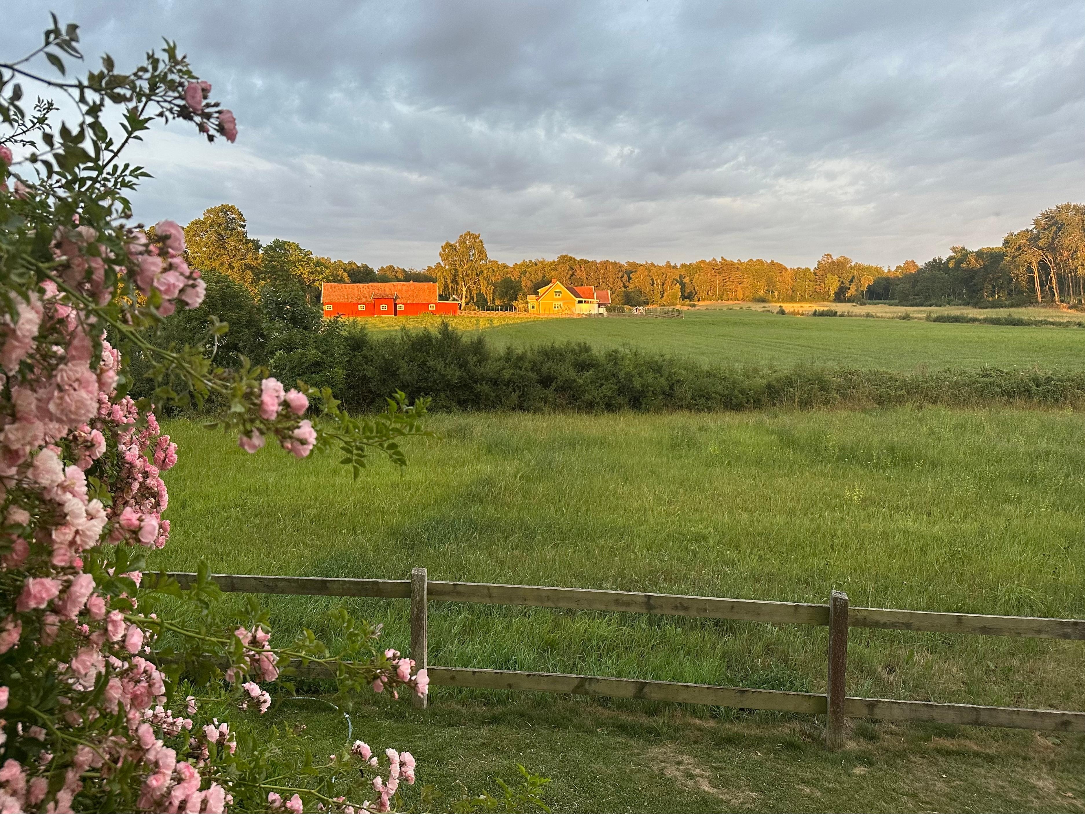 Blick von der Terrasse