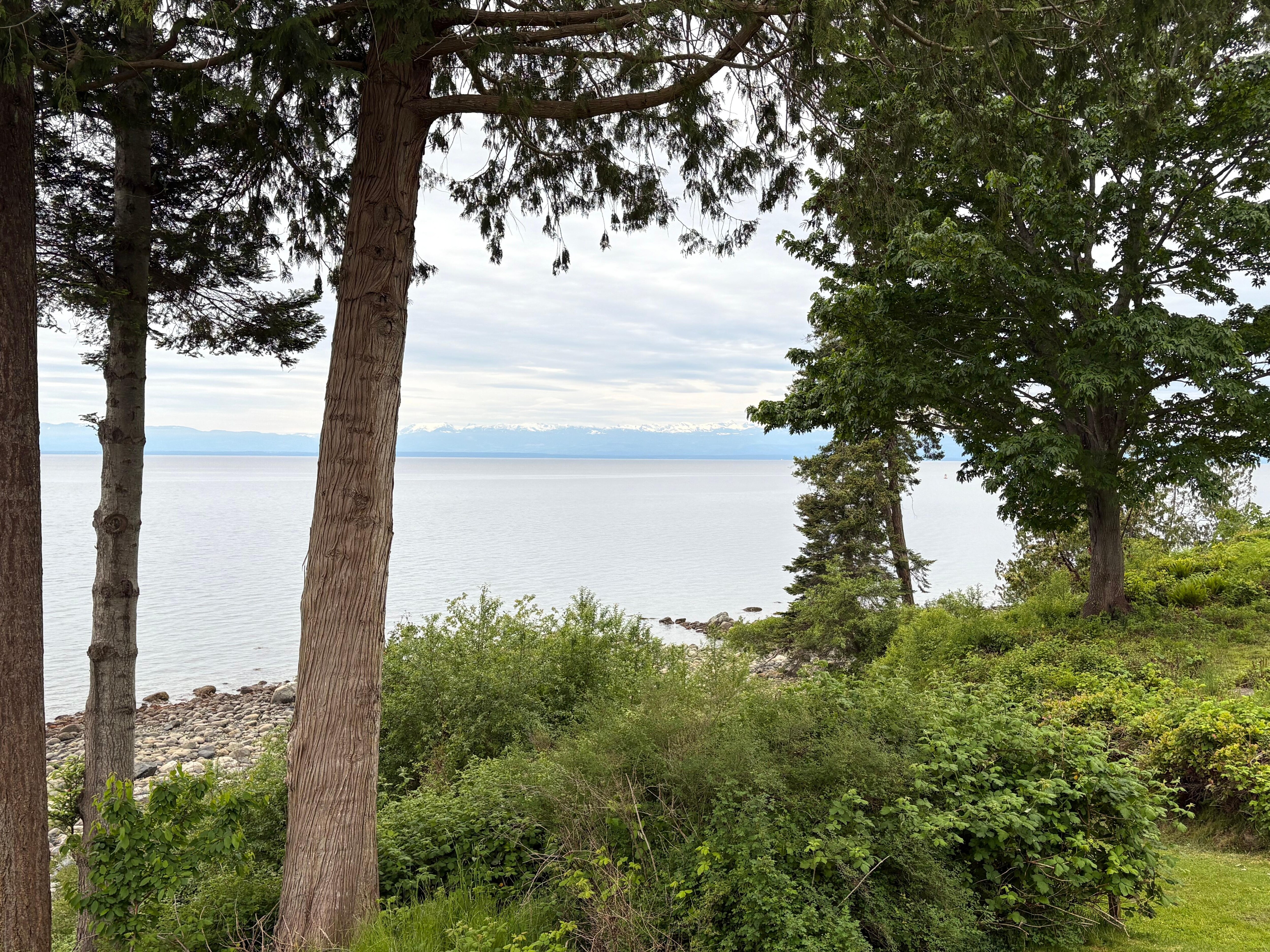 View from the deck 