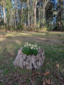 The garden is a key feature, many international arrangements of flowers and bushes to create a lovely feeling.