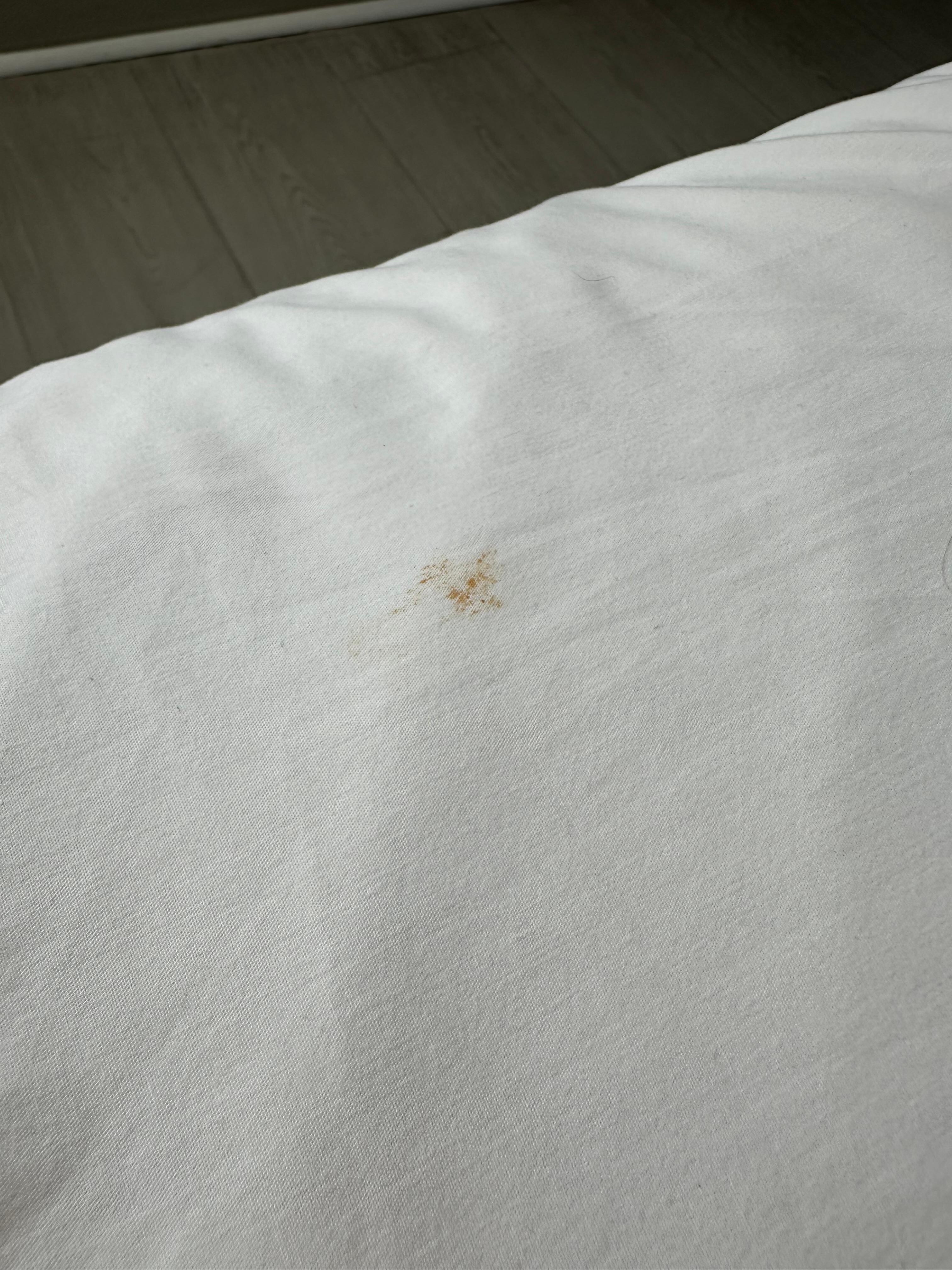 Blood or stains on the bed sheets