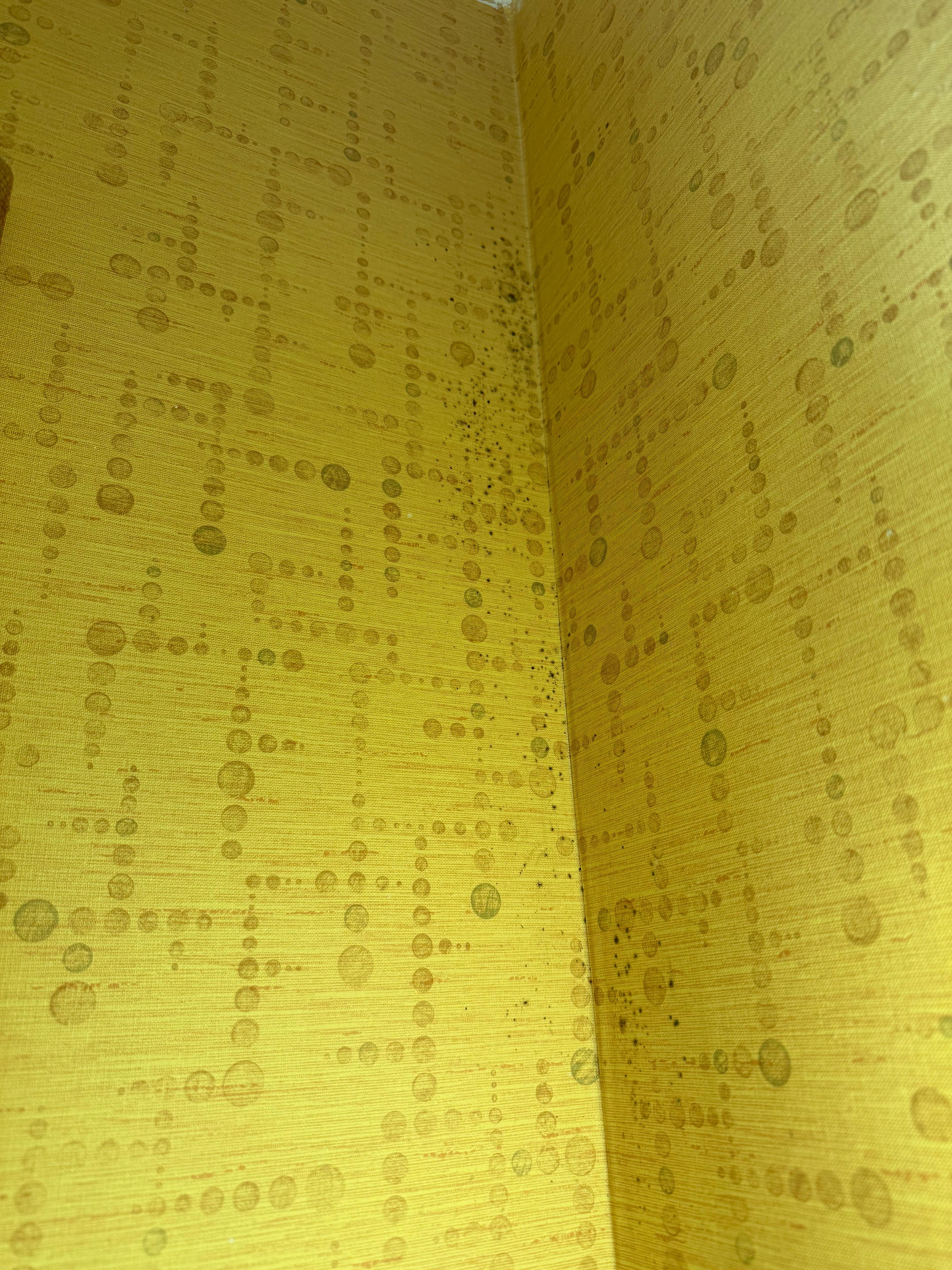 Seem to have a mold issue in the bathroom.