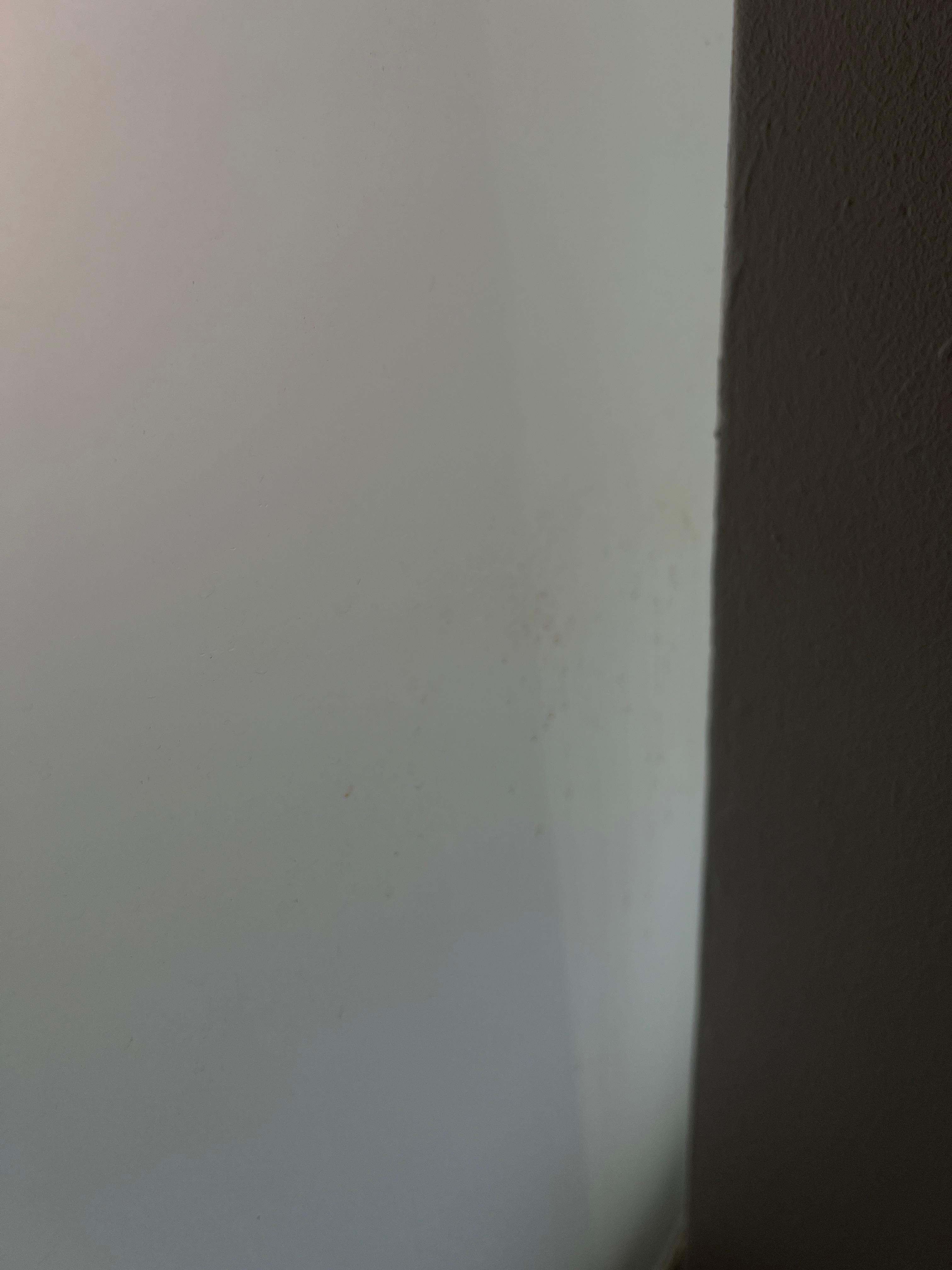 The bathrooms had splash of remnants from the lady guest and picked up hair in multiple places 