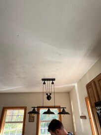 Bugs on ceiling and walls