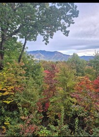 View from the back deck hot tub area