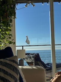 View from living room couch with a visitor