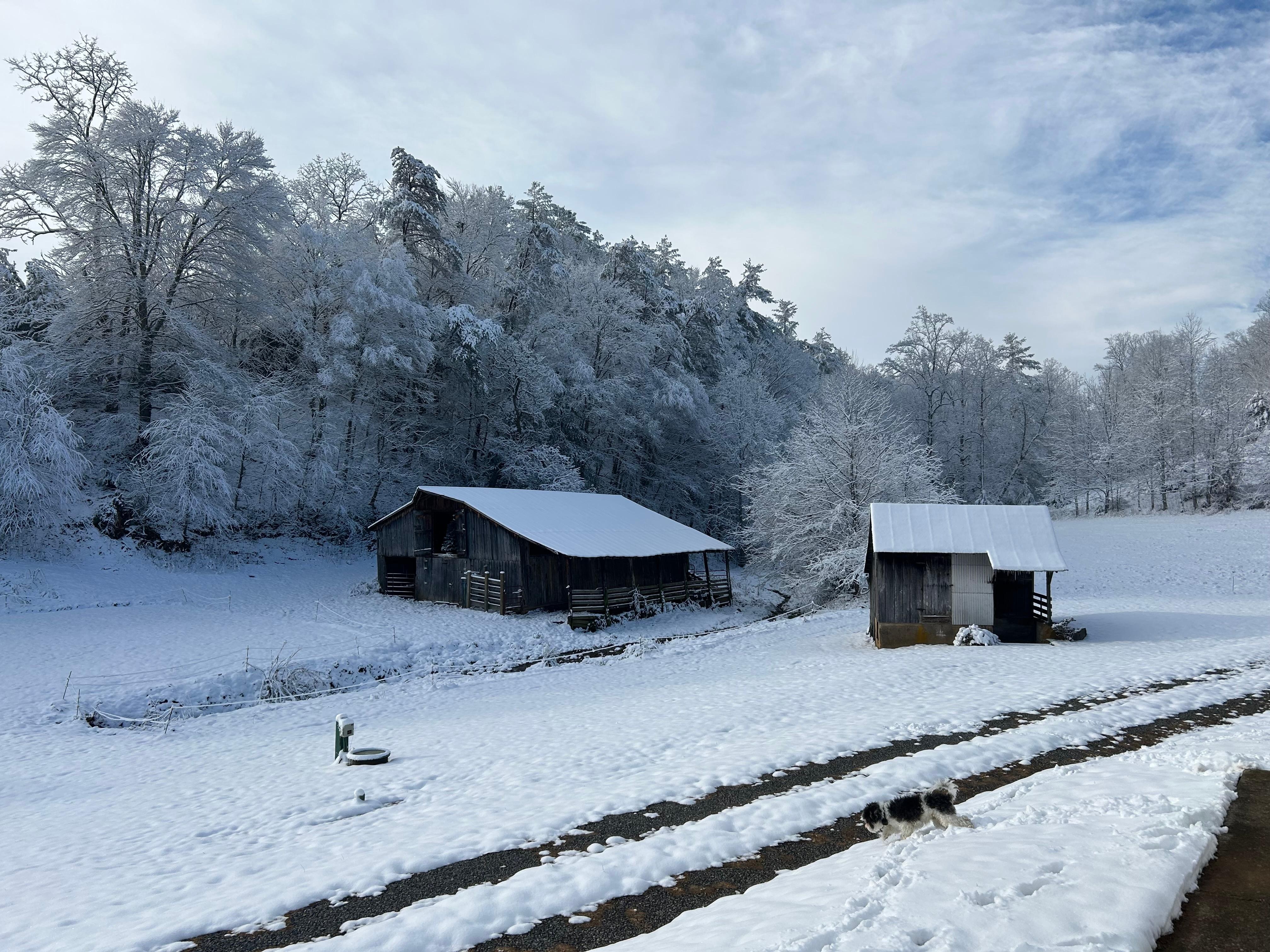 We arrived late and woke up to about 5 inches of snow! It was a winter wonderland. 