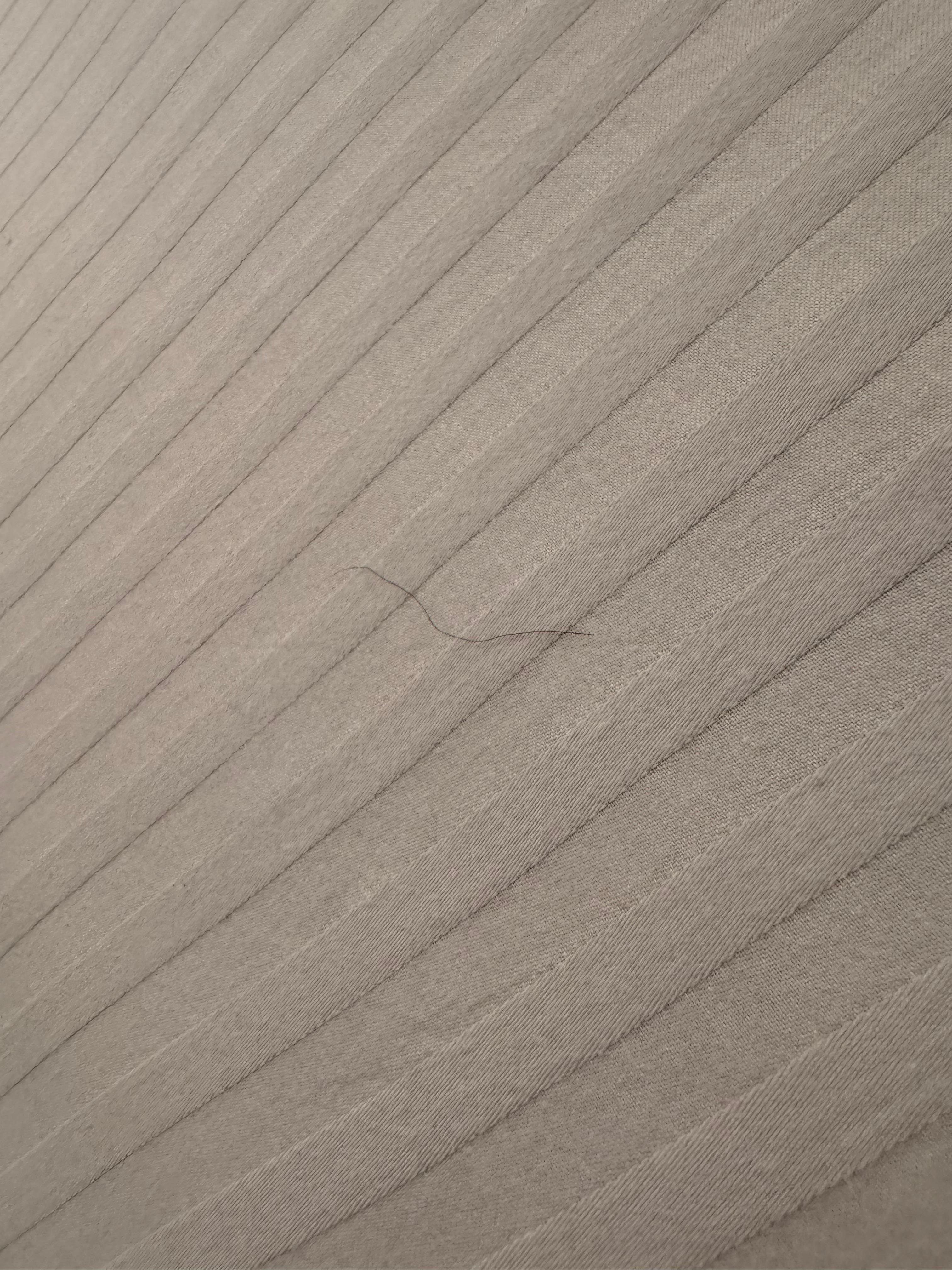 pubic hair right on top of new sheets as we walked in our room for the first time. 