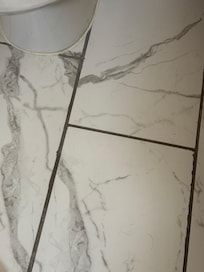 Urine and hair at base of toilet