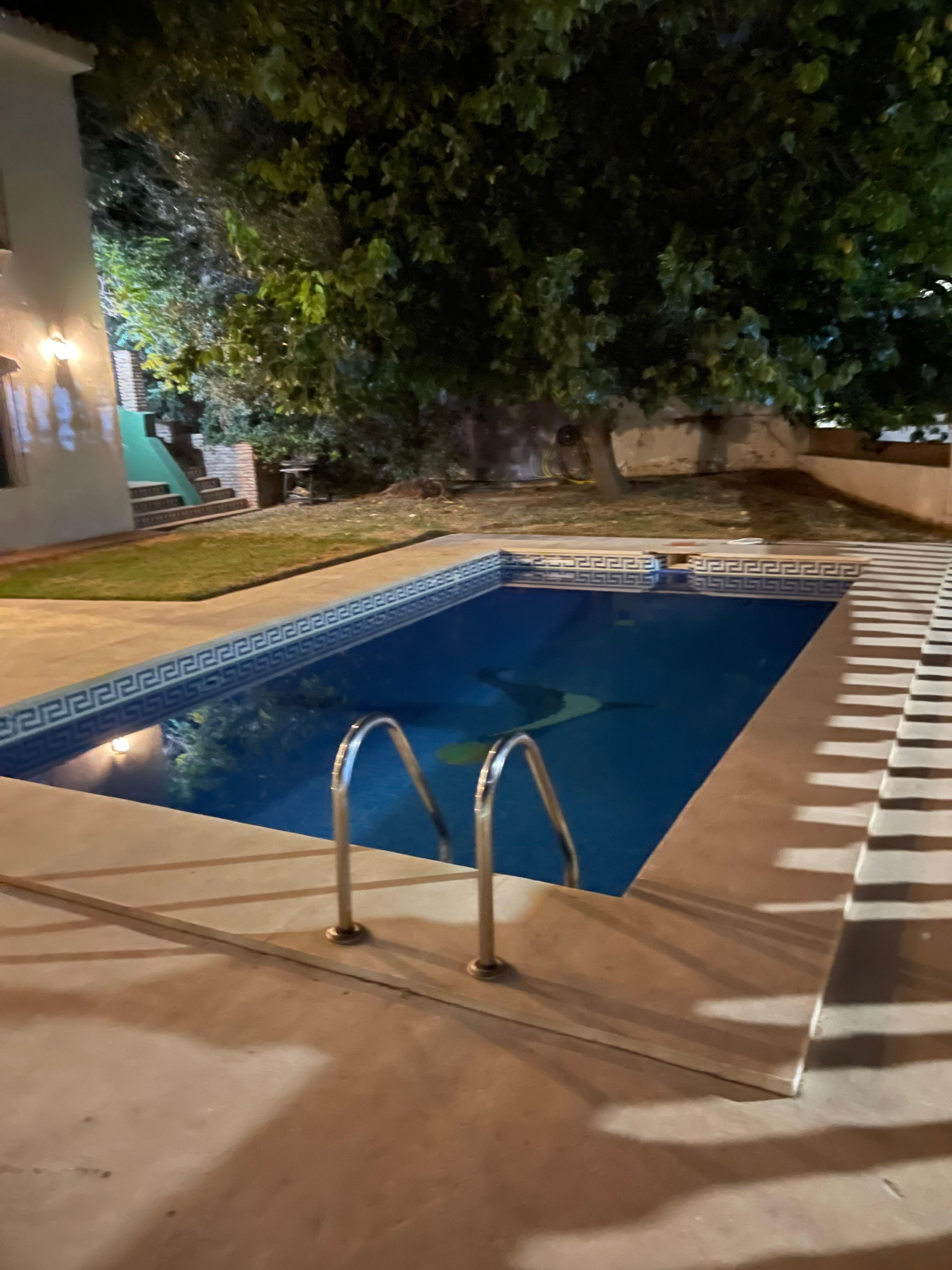 A stunning morning view