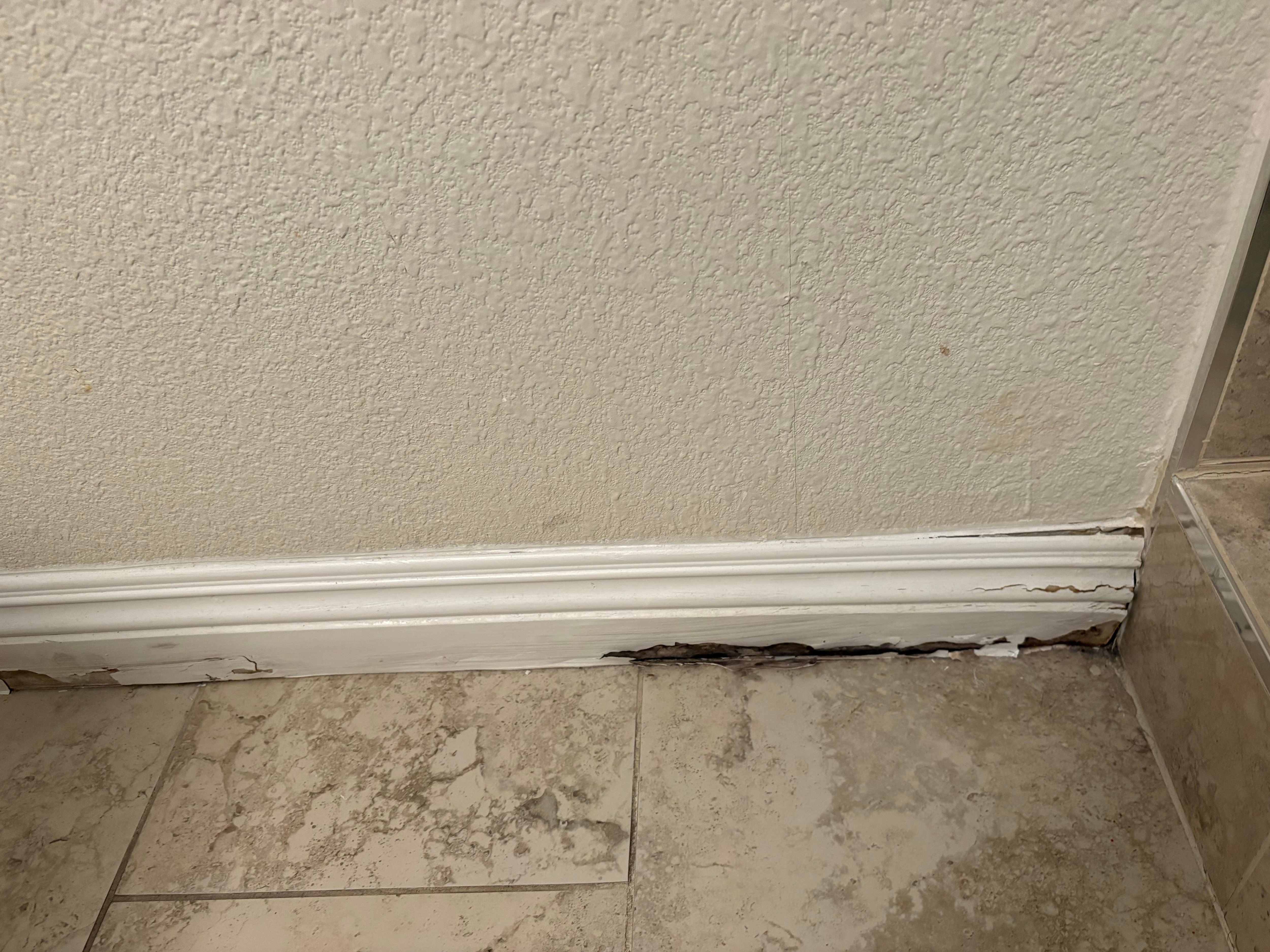 Moldy bathroom baseboard