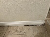 Moldy bathroom baseboard