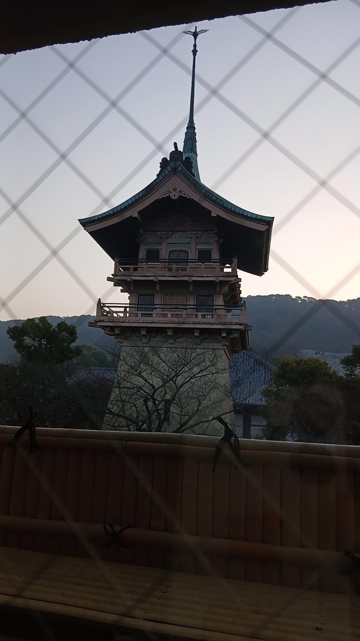 きれいでした。