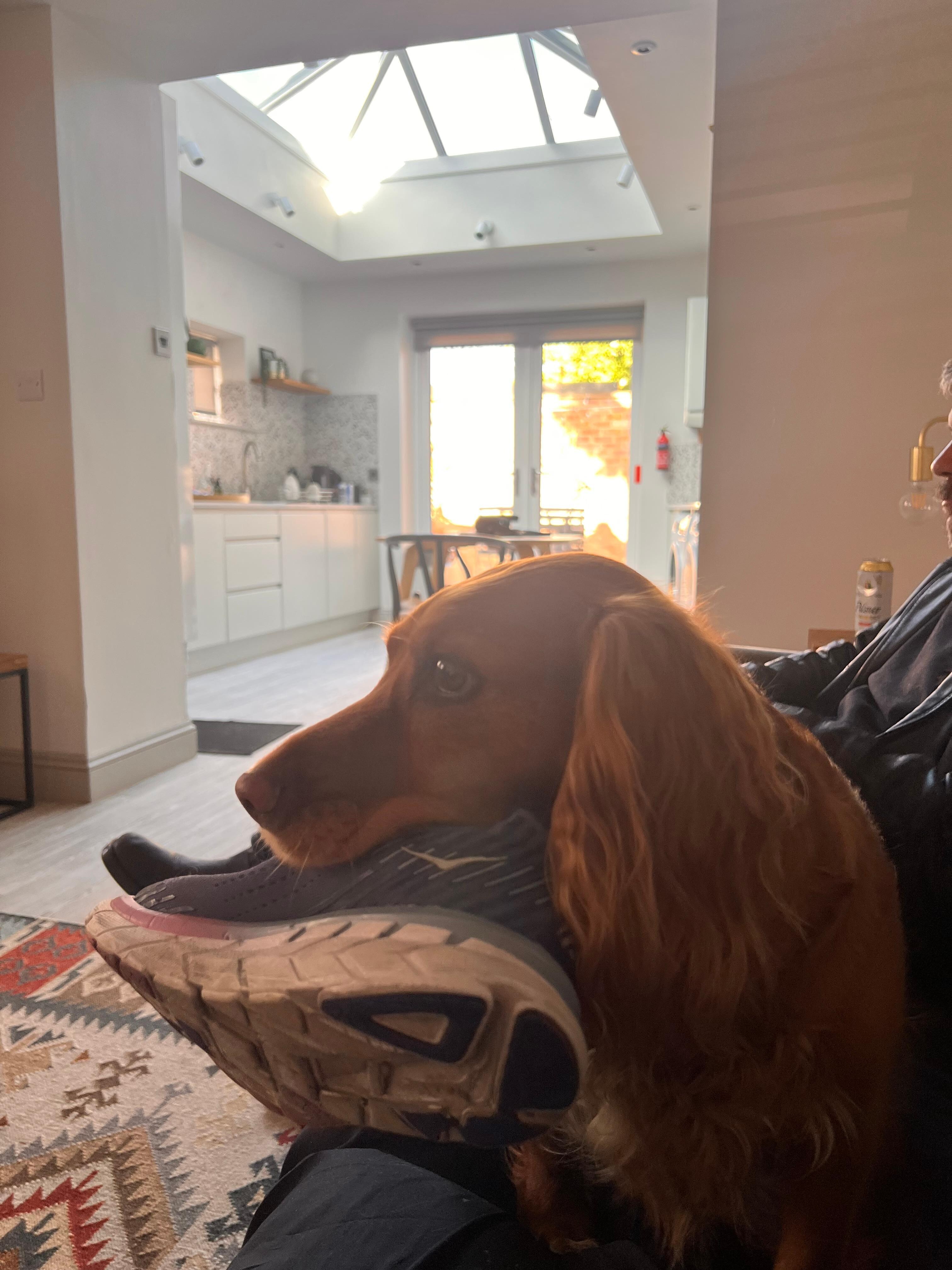 Storm relaxing
