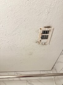 Moldy vent