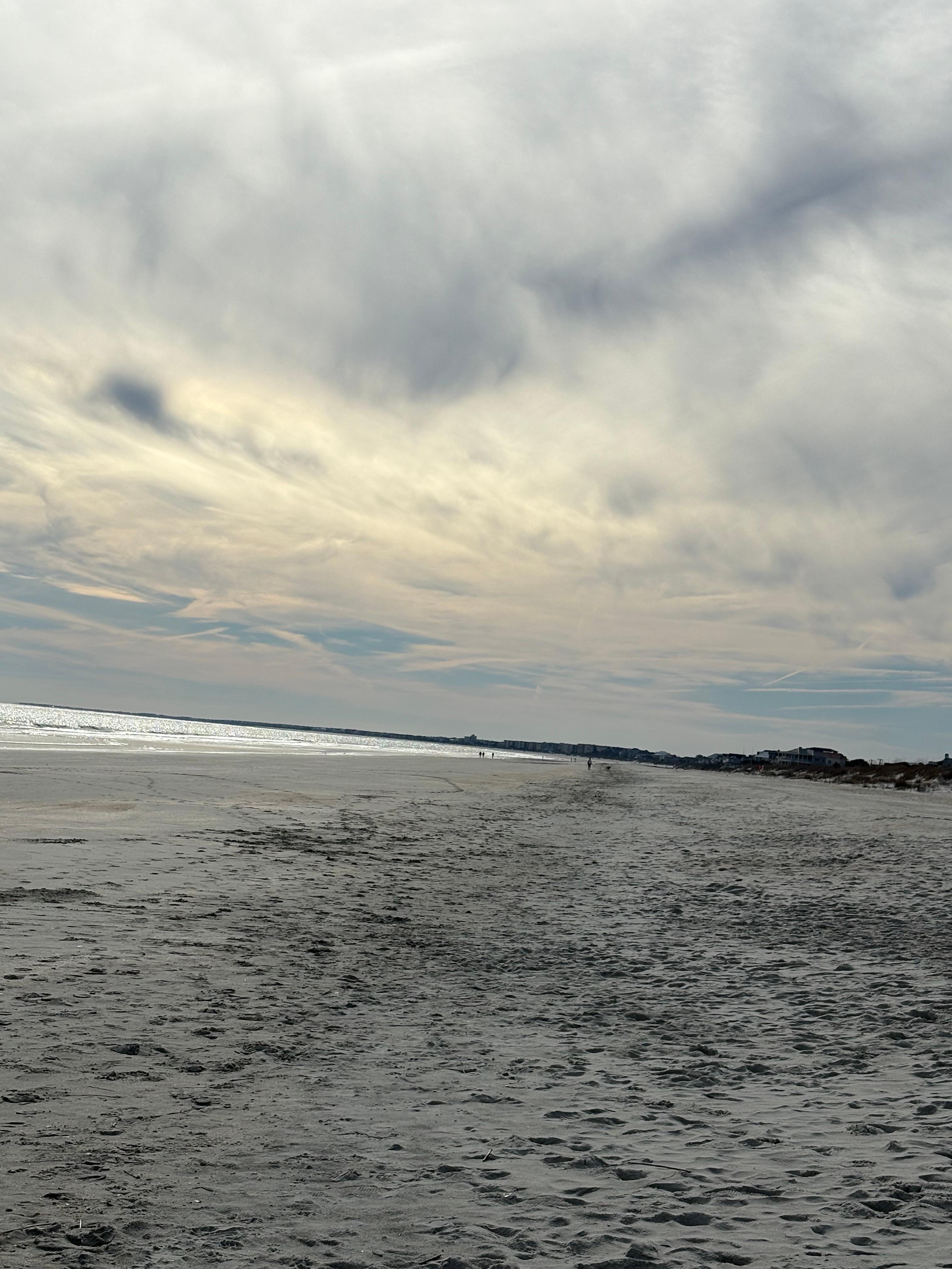 Huntington Beach State Park