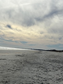 Huntington Beach State Park