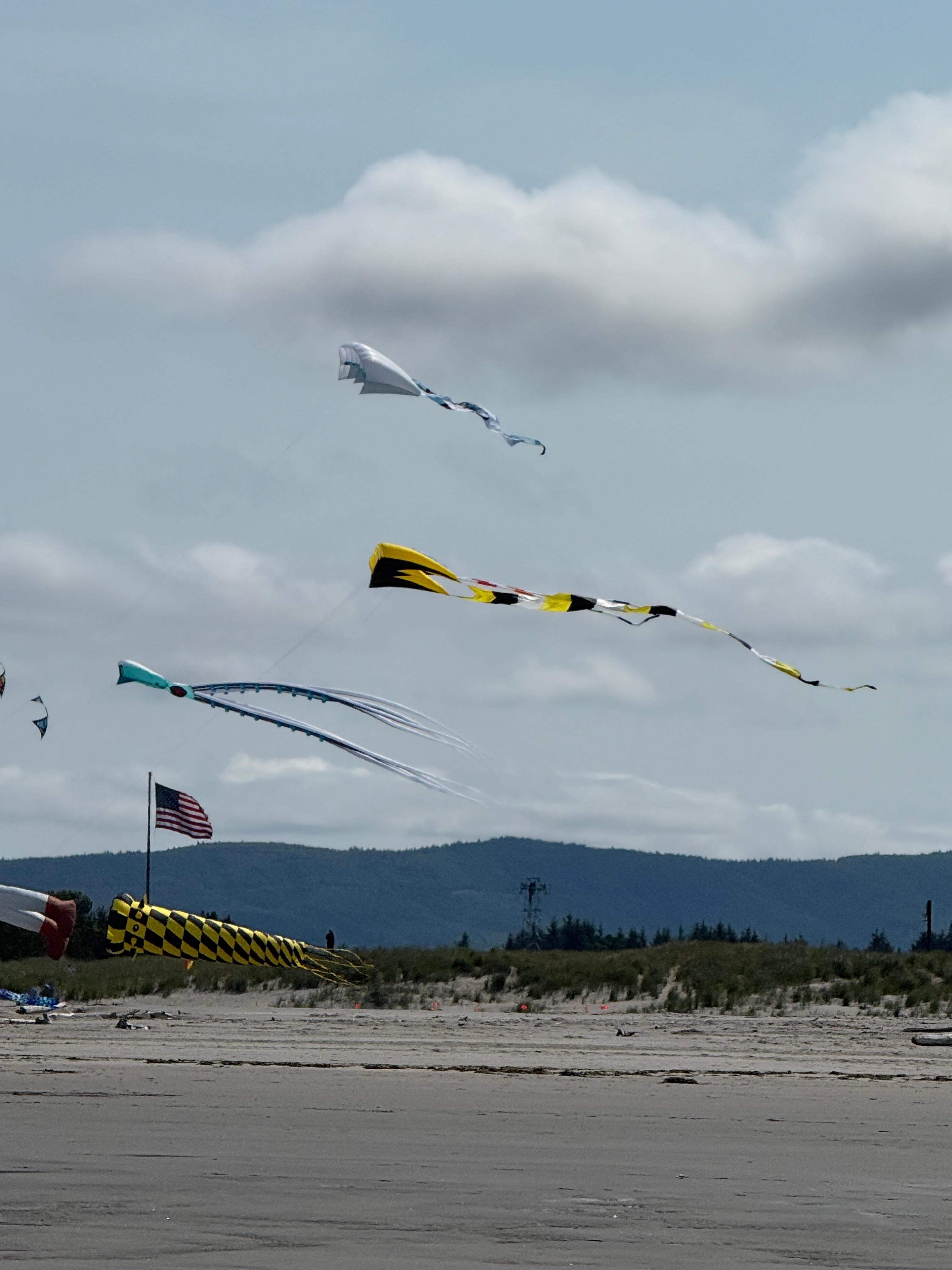 Kites on the beach 😎 