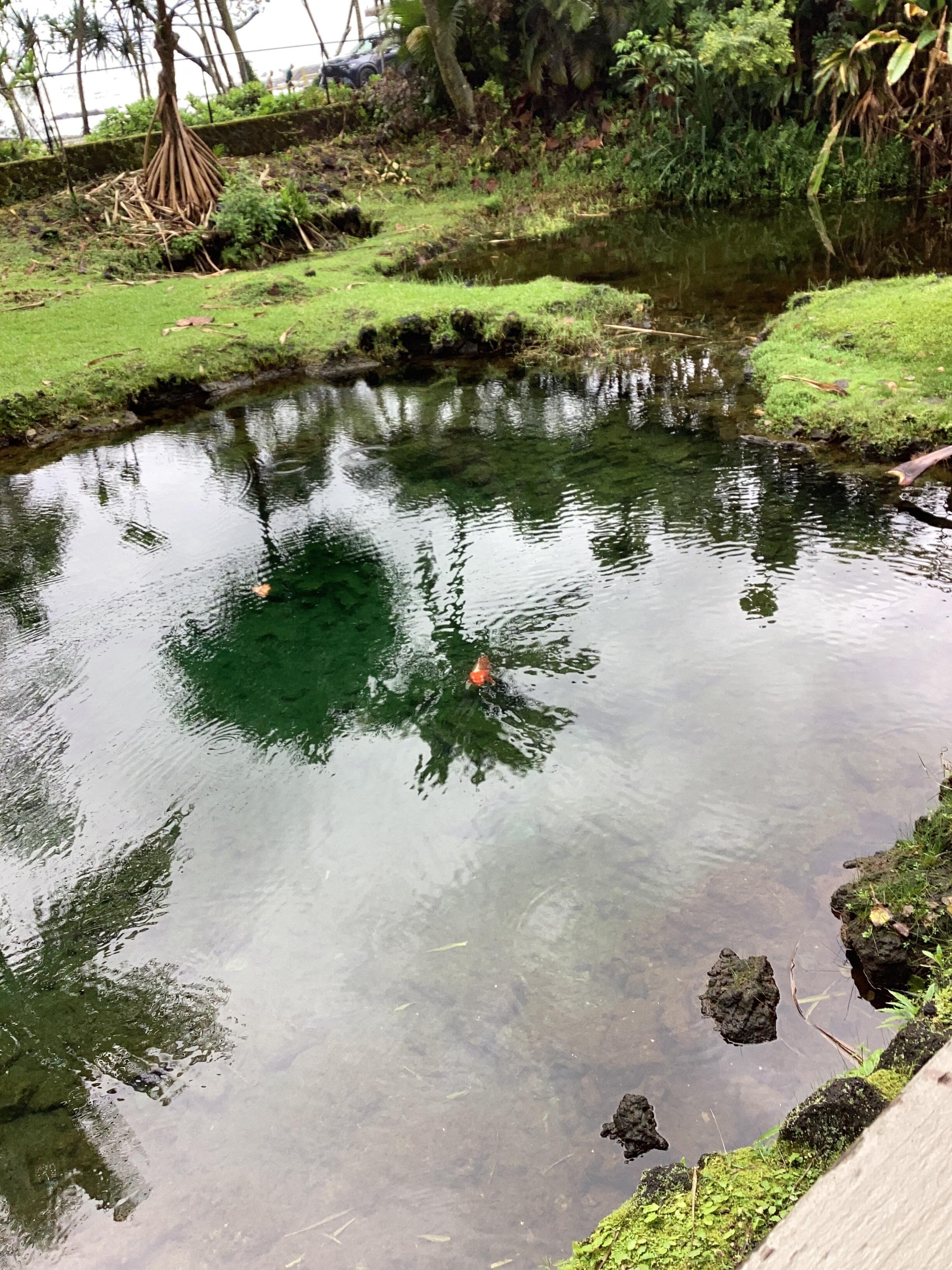 View from the front lanai.