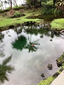 View from the front lanai.