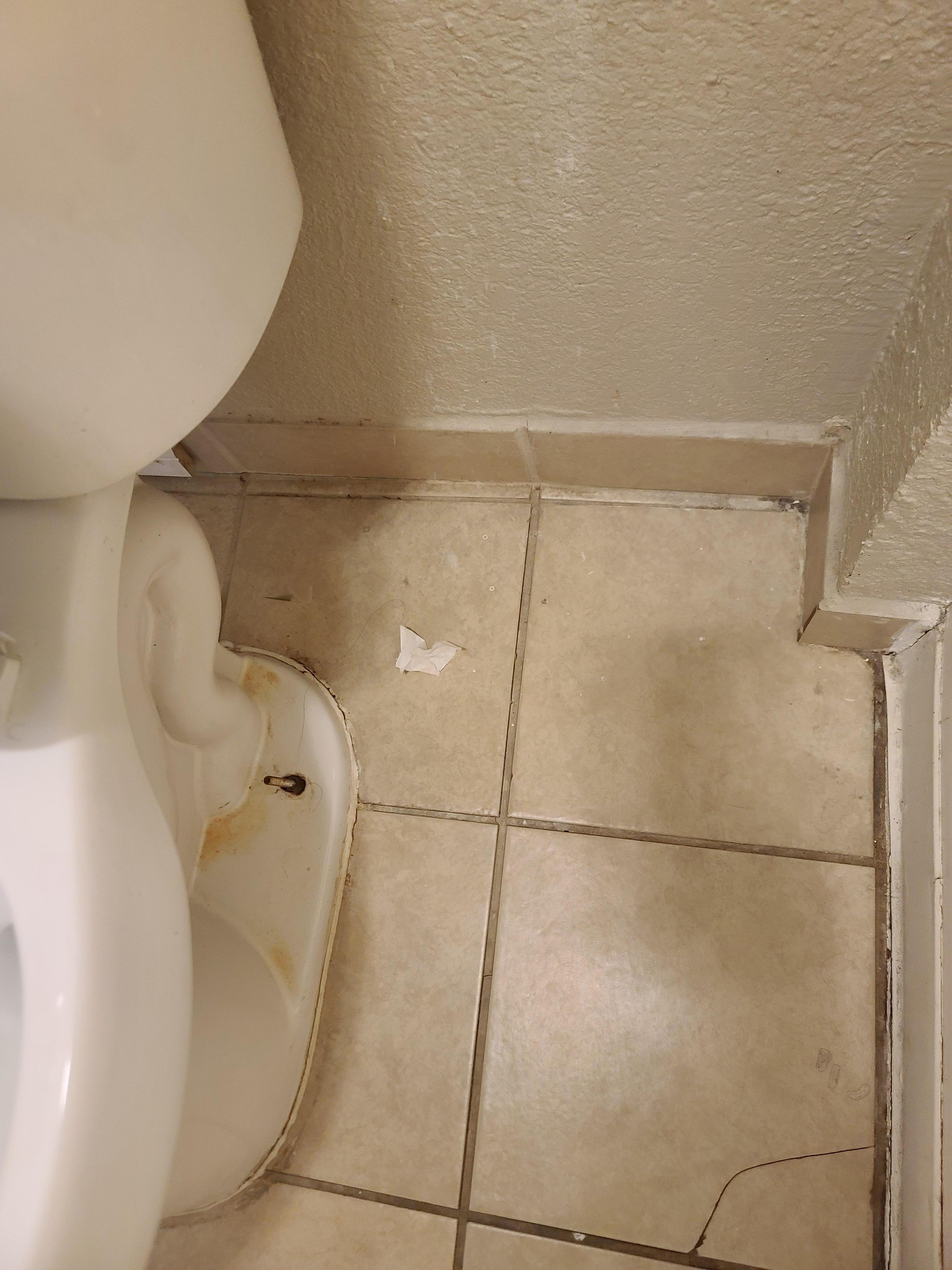 Not sure when this was last cleaned?