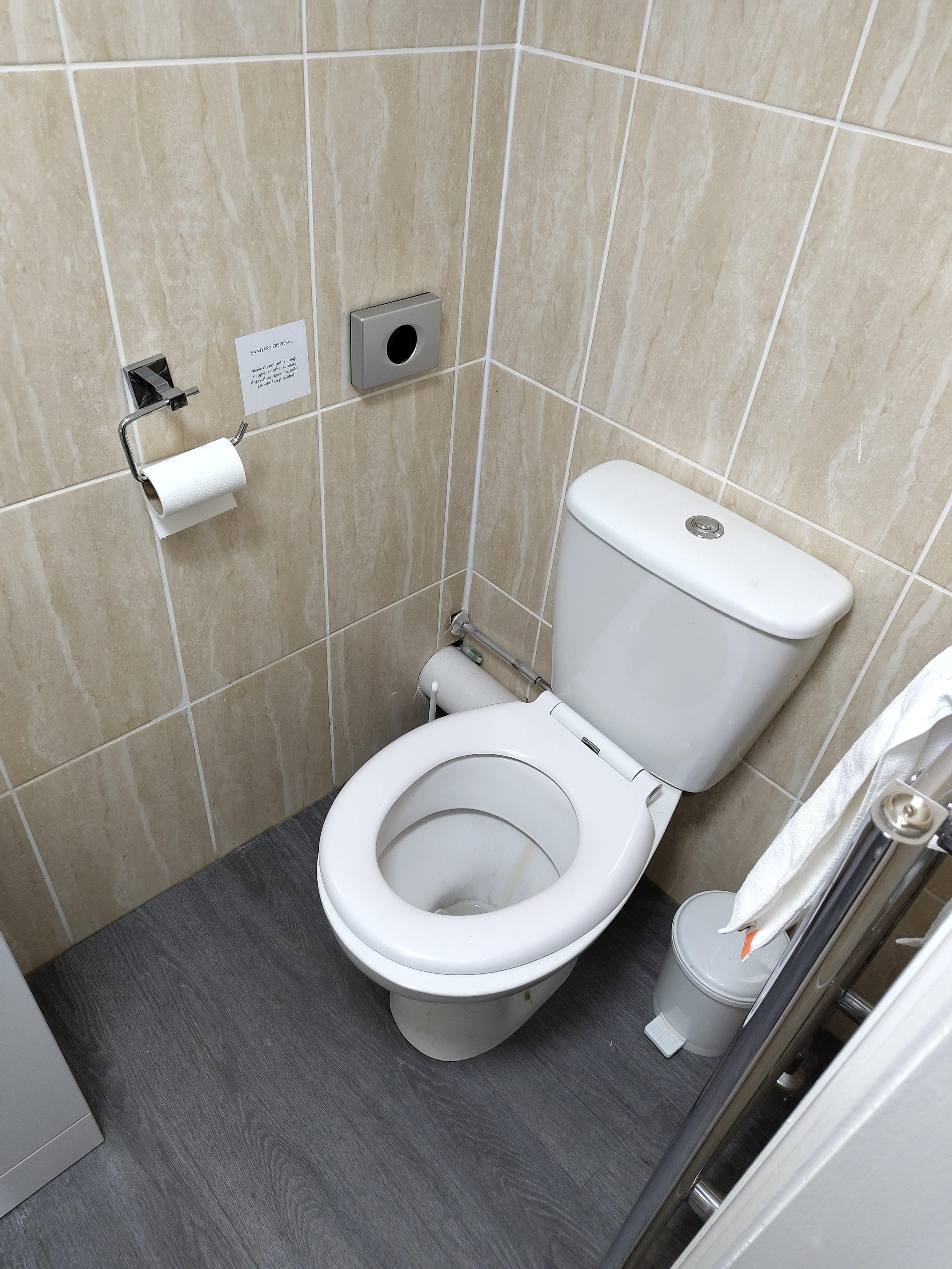 Toilet and heated towel rail.