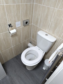 Toilet and heated towel rail.