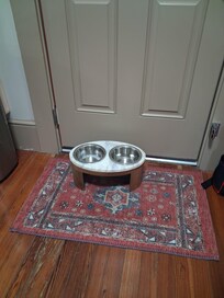 Elevated dog bowls