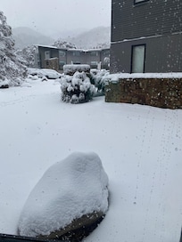 View from the window